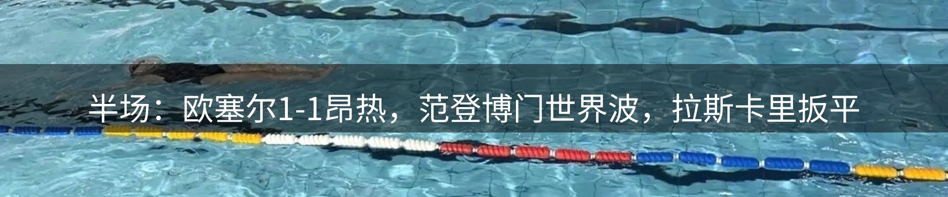 焦点评析